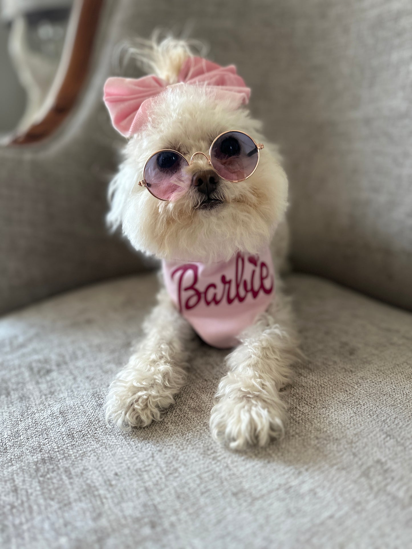 Barbie Collection for Pampered Pets
