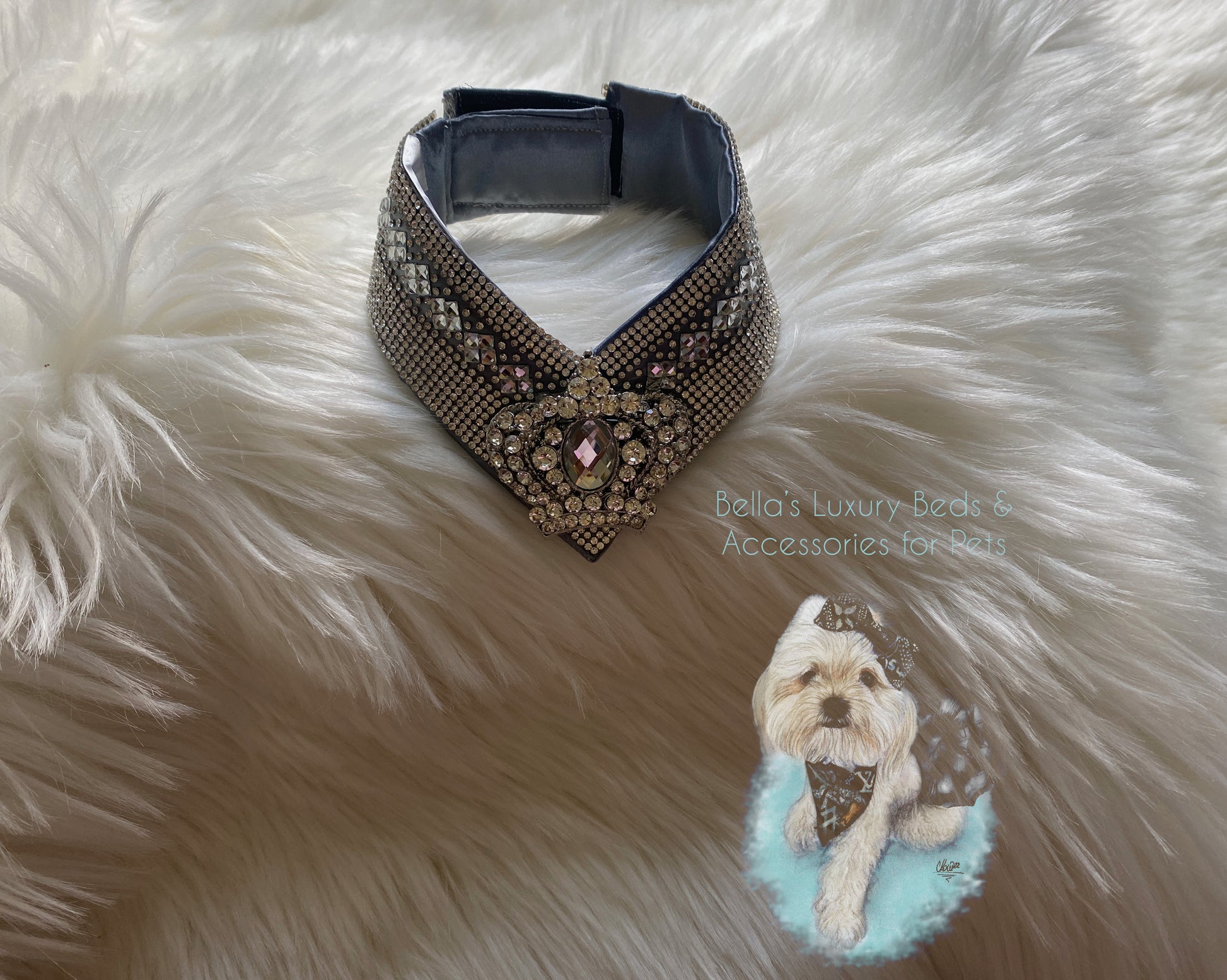 Beautiful Luxury Choker Collars for Pets in USA