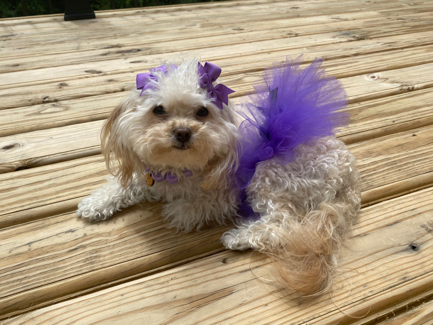 Fluffy Tutus (Ribbon Tie On)